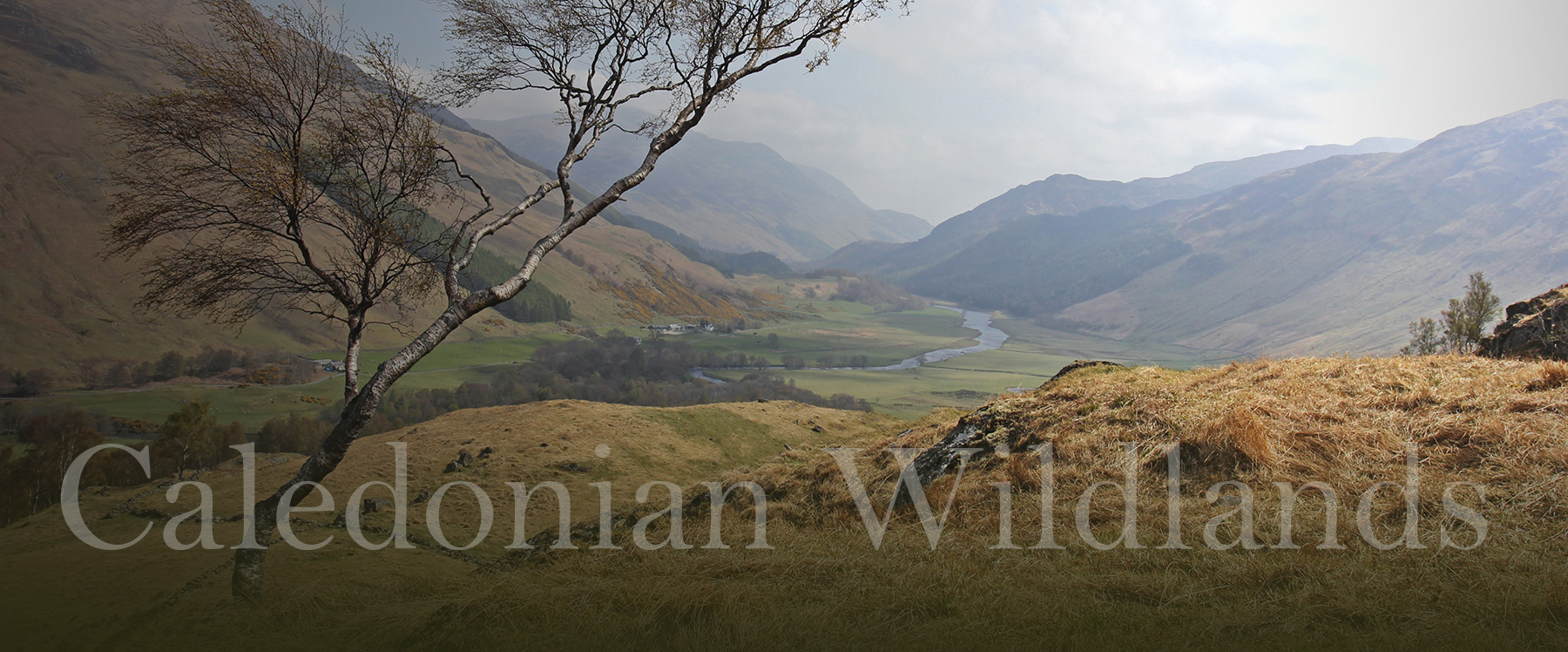 Caledonian Wildlands